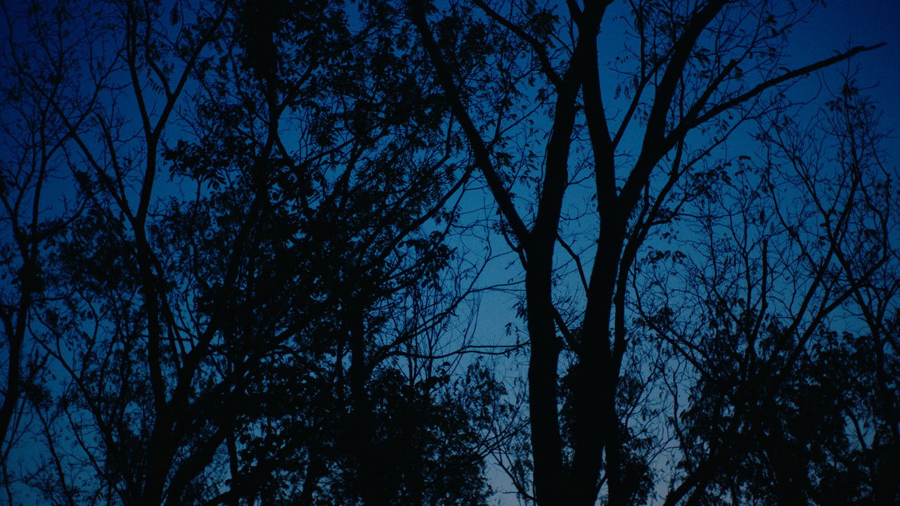 Brothers Movie Screenshot 4