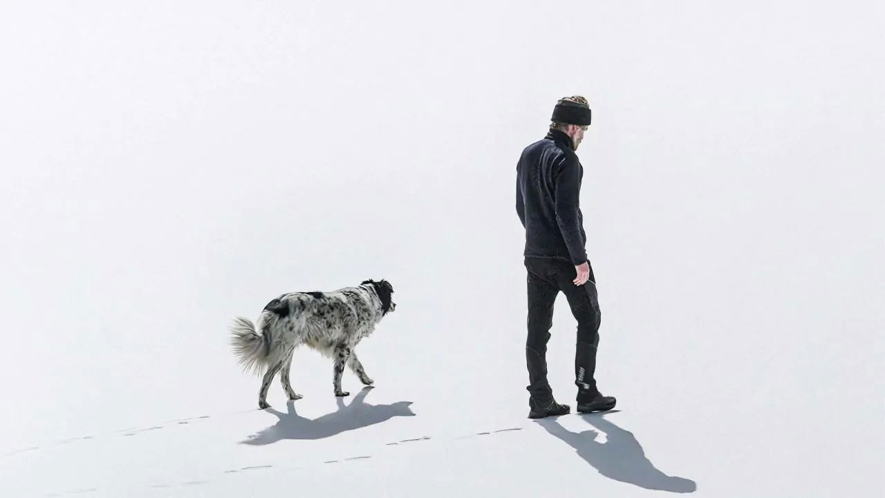 A Flower of Mine Movie Screenshot 1