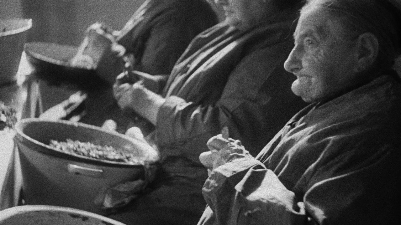 Neshoma Movie Screenshot 1