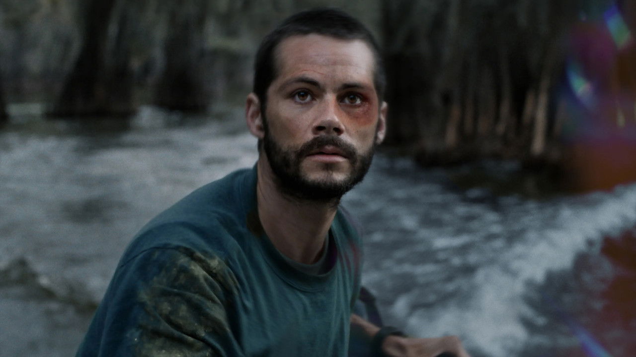 Caddo Lake Movie Screenshot 5