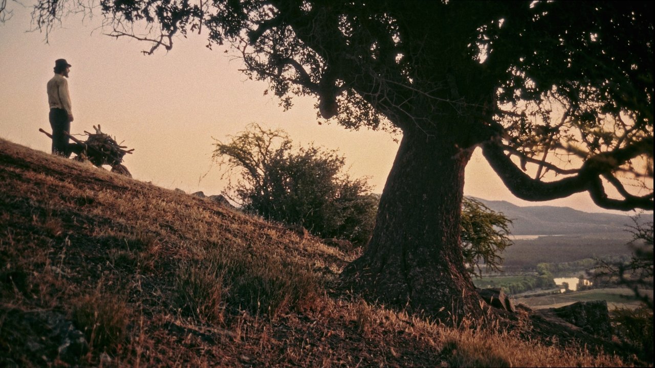 SHORTCUT Movie Screenshot 2
