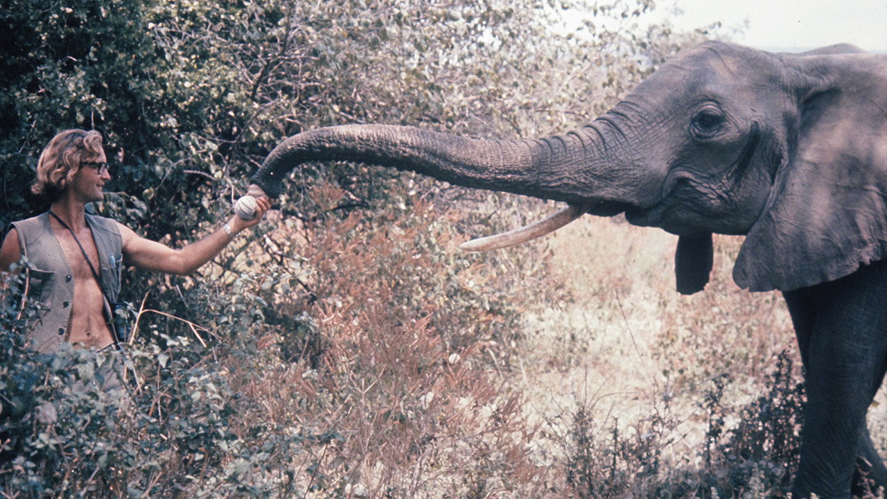 A Life Among Elephants Movie Screenshot 2