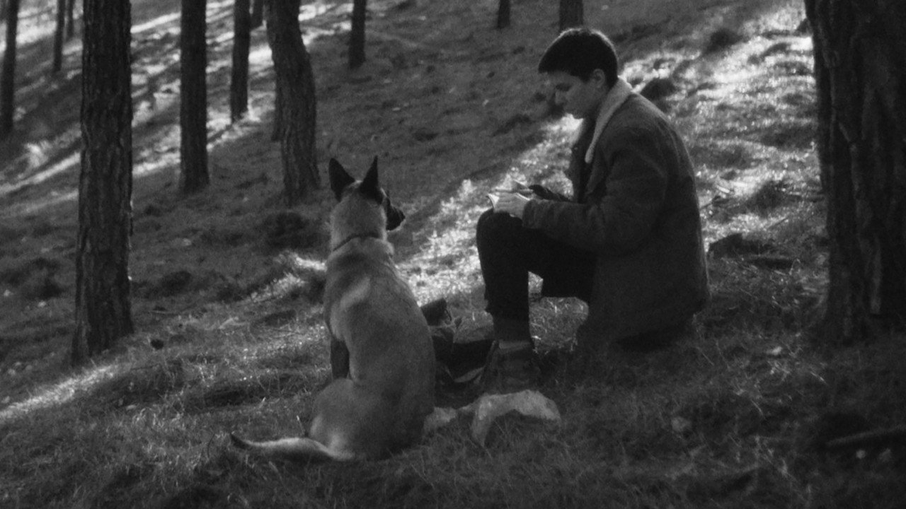 Houses Movie Screenshot 1