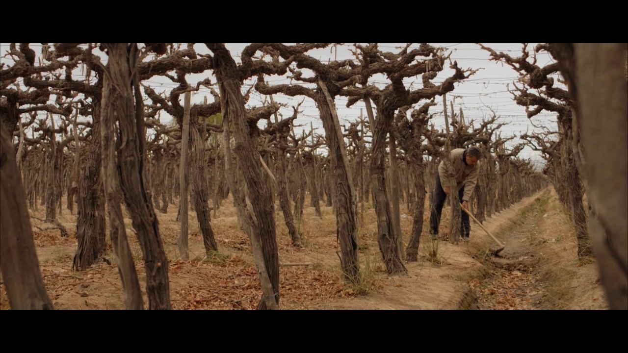 Wastelands Movie Screenshot 1